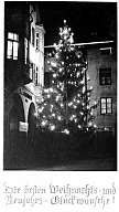 Beleuchteter Weihnachtsbaum am Pfarrplatz, Ecke Große Lauben 
