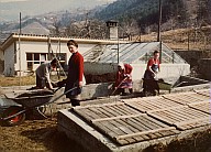 Allieve svolgono lavori di giardinaggio, mentre una delle ragazze spinge una carriola.