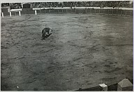 Al centro dell'arena il torero affronta il toro davanti al folto pubblico.