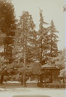 Padiglione della musica